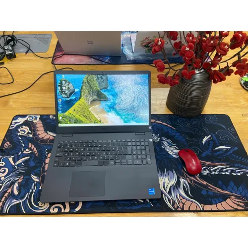 Dell Inspiron 3501 Core i5-1135G7