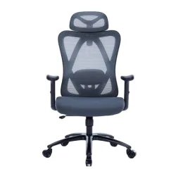 Ghế công thái học WARRIOR Hero WEC501 Plus | Xám, 120kg, Chân xoay, Lưng lưới