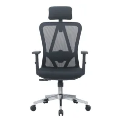 Ghế công thái học E DRA EEC213 | Đen, 120kg, Chân xoay, Lưng lưới