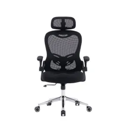 Ghế công thái học E DRA EEC224 | Đen, 150kg, Chân xoay, Lưng lưới