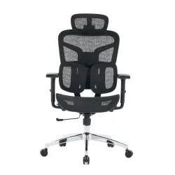 Ghế công thái học E DRA EEC226 | Đen, Chân xoay, Lưng lưới