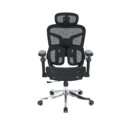 Ghế công thái học E DRA EEC227 | Đen, Chân xoay, Lưng lưới