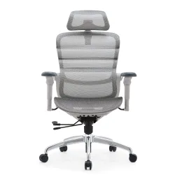 Ghế Công Thái Học Manson Foris, Màu Xám, Không gác chân | Đỡ Lưng Bionic Spine, Ngả Sâu 147 Độ, Tay 5D