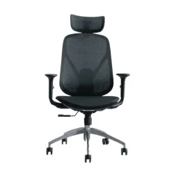 Ghế công thái học Epione ElysChair All Black | Lưng lưới, Kèm tựa đầu, Đen