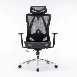 Ghế công thái học E DRA EEC225 | Đen, 150kg, Chân xoay, Lưng lưới