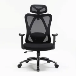 Ghế công thái học WARRIOR Hero WEC501 Plus | Đen, 120kg, Chân xoay, Lưng lưới