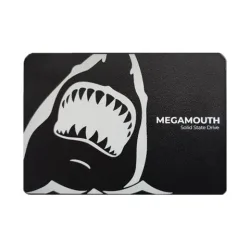Ổ cứng SSD SSTC M110 512GB | SATA III, 2.5