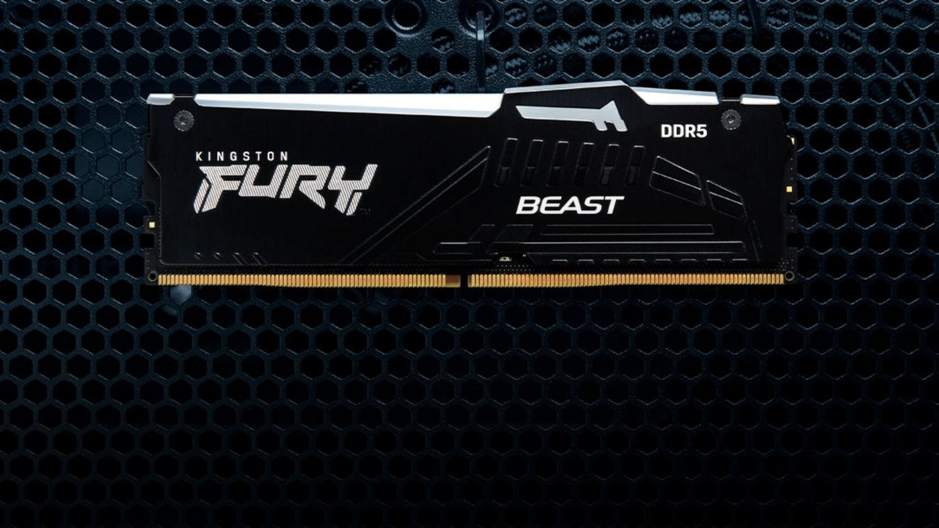 RAM DDR5 64GB Kingston Fury Beast RGB 5600 - Tốc độ 5600MHz
