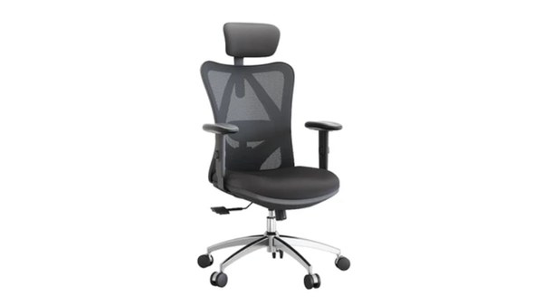 Ghế công thái học Ergonomic Sihoo M18 | Đen